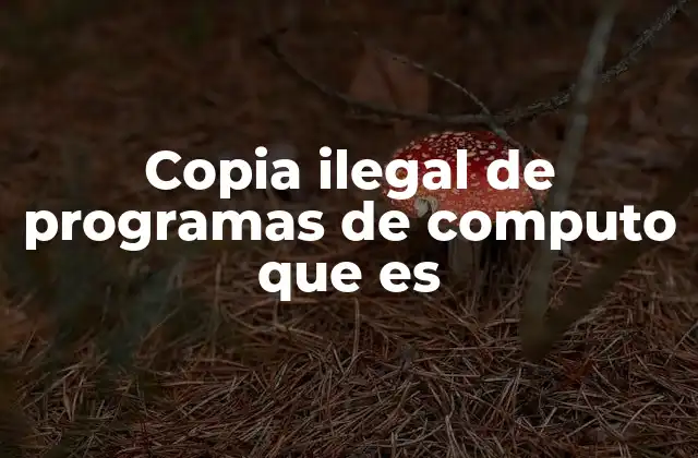 Copia Ilegal de Programas de Computo que es