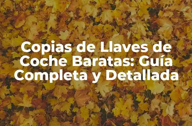 Copias de Llaves de Coche Baratas: Guía Completa y Detallada