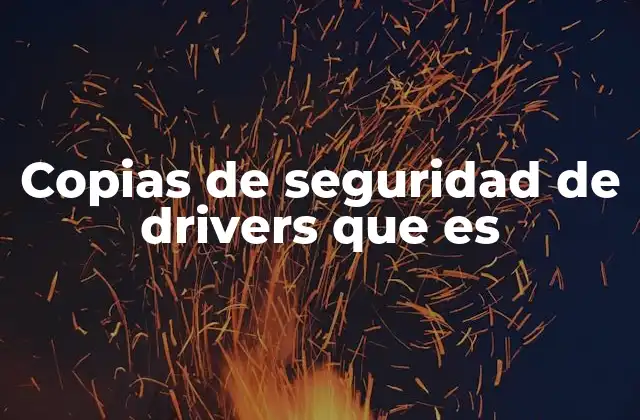 Copias de Seguridad de Drivers que es