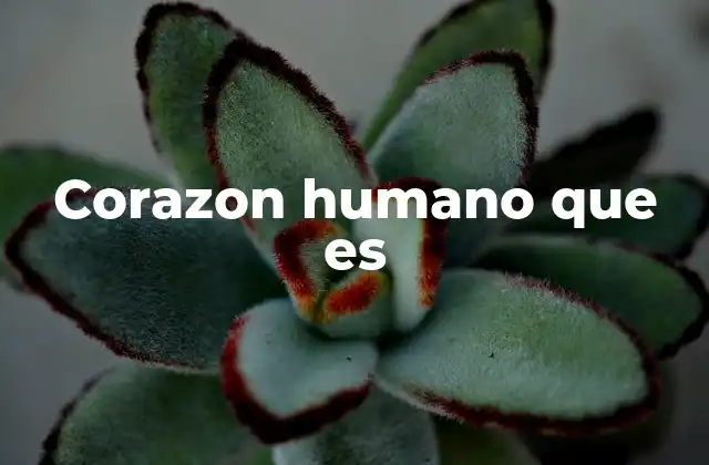 Corazon Humano que es