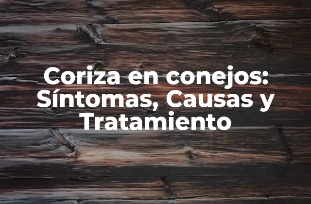 Coriza en Conejos: Síntomas, Causas y Tratamiento