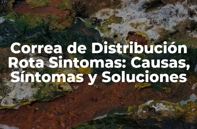Correa de Distribución Rota Sintomas: Causas, Síntomas y Soluciones