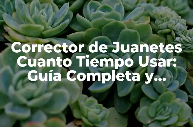 Corrector de Juanetes Cuanto Tiempo Usar: Guía Completa y Actualizada