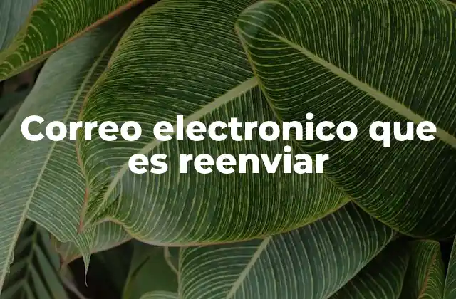 Correo Electronico que es Reenviar 2 Cómo funciona el reenvío en el contexto de la comunicación digital
