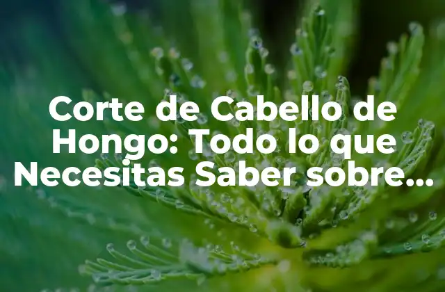 Corte de Cabello de Hongo: Todo Lo que Necesitas Saber sobre Este Estilo