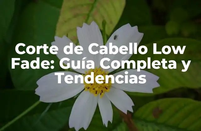 Corte de Cabello Low Fade: Guía Completa y Tendencias 2 ¿Qué es un Corte de Cabello Low Fade?