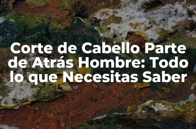 Corte de Cabello Parte de Atrás Hombre: Todo Lo que Necesitas Saber