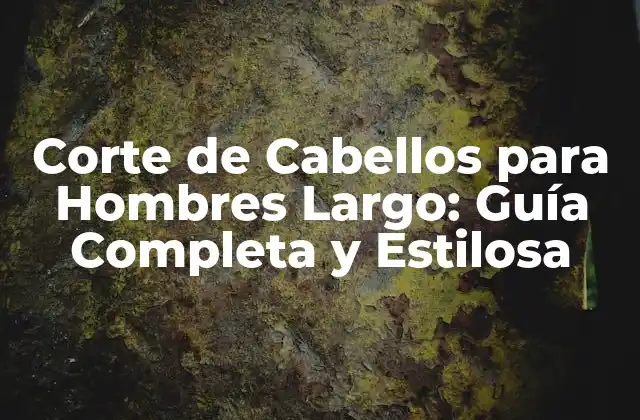 Corte de Cabellos para Hombres Largo: Guía Completa y Estilosa