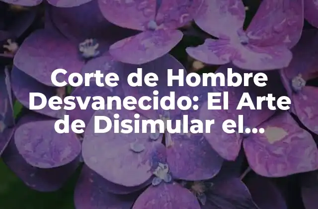 Corte de Hombre Desvanecido: el Arte de Disimular el Contorno Facial