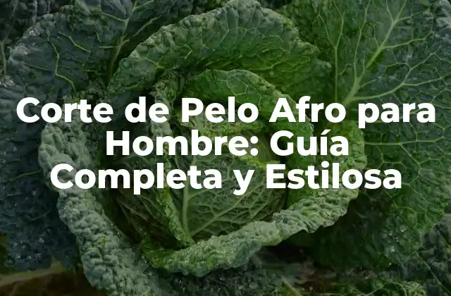 Corte de Pelo Afro para Hombre: Guía Completa y Estilosa 2 Historia del Corte de Pelo Afro