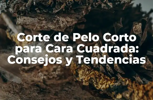 Corte de Pelo Corto para Cara Cuadrada: Consejos y Tendencias