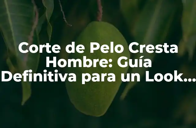 Corte de Pelo Cresta Hombre: Guía Definitiva para un Look Único