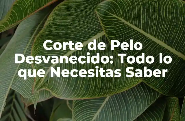 Corte de Pelo Desvanecido: Todo Lo que Necesitas Saber