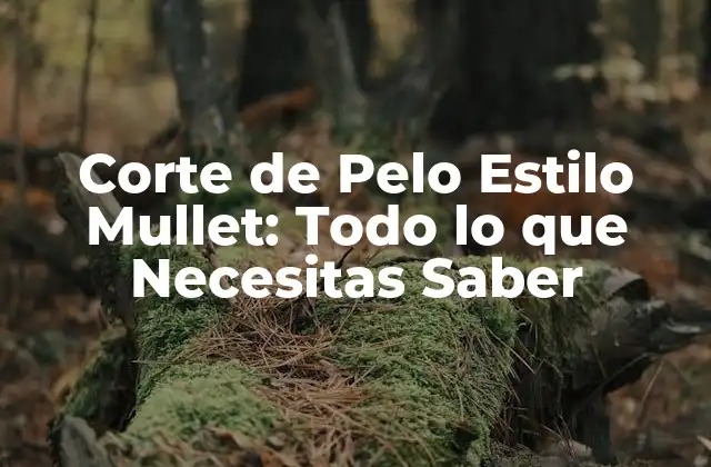 Corte de Pelo Estilo Mullet: Todo Lo que Necesitas Saber