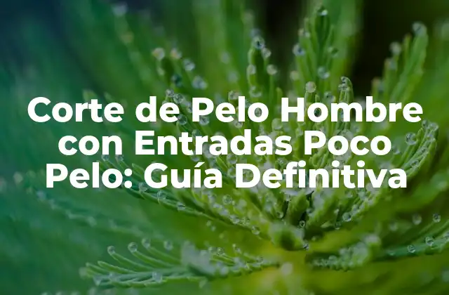 Entendiendo las Entradas y la Pérdida de Cabello