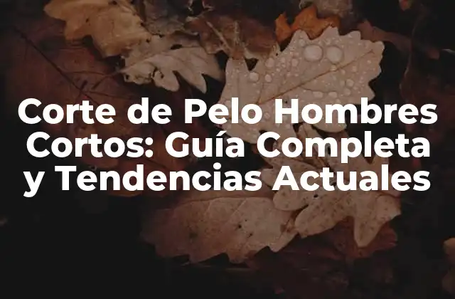 Corte de Pelo Hombres Cortos: Guía Completa y Tendencias Actuales