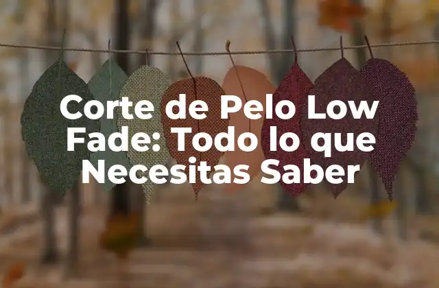 Corte de Pelo Low Fade: Todo Lo que Necesitas Saber