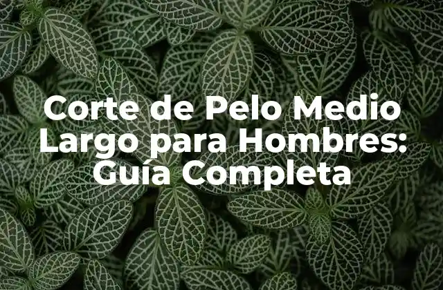 Corte de Pelo Medio Largo para Hombres: Guía Completa