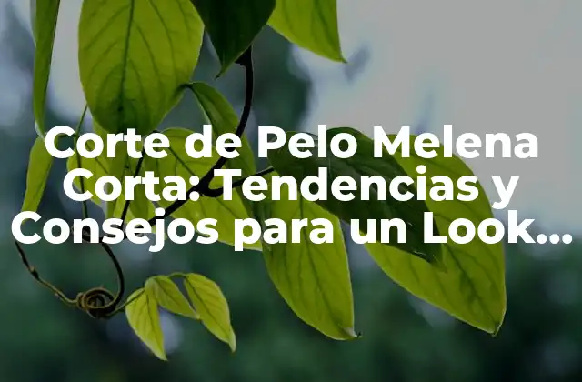 Corte de Pelo Melena Corta: Tendencias y Consejos para un Look Único