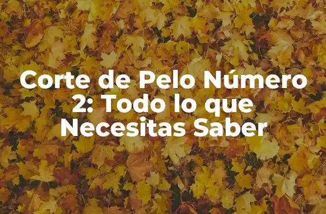 Corte de Pelo Número 2: Todo Lo que Necesitas Saber