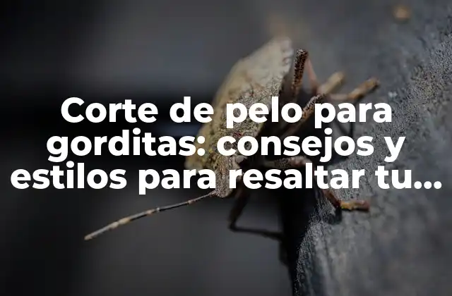 Corte de Pelo para Gorditas: Consejos y Estilos para Resaltar Tu Belleza