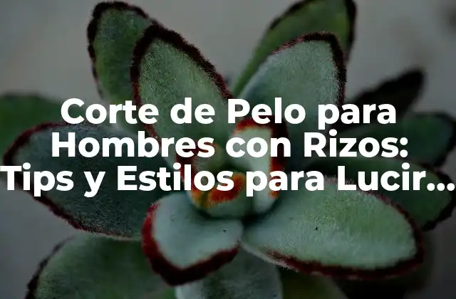 Corte de Pelo para Hombres con Rizos: Tips y Estilos para Lucir Genial