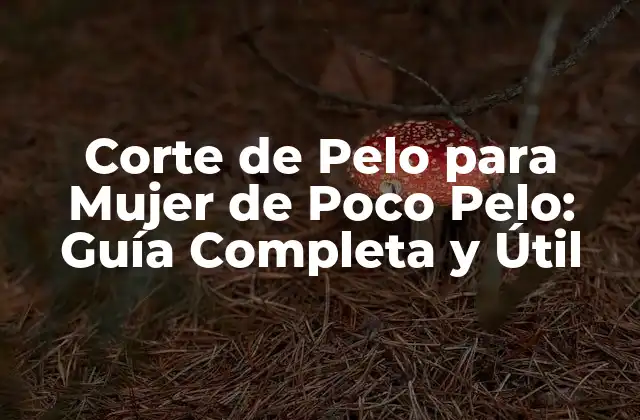 Corte de Pelo para Mujer de Poco Pelo: Guía Completa y Útil