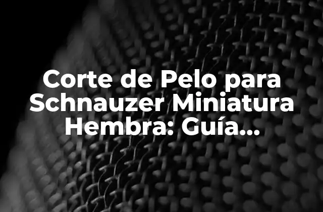 Corte de Pelo para Schnauzer Miniatura Hembra: Guía Completa