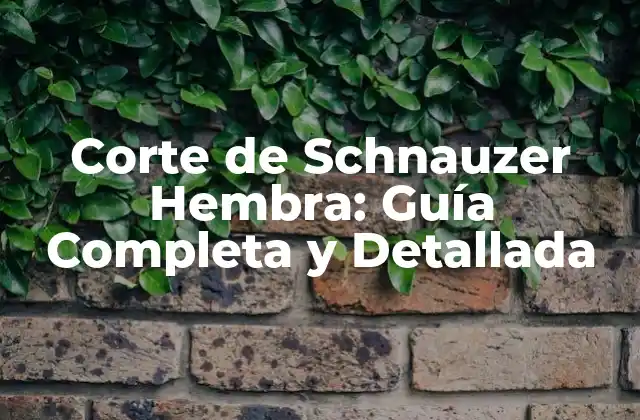 Corte de Schnauzer Hembra: Guía Completa y Detallada