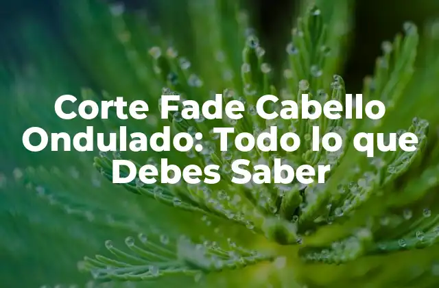 Corte Fade Cabello Ondulado: Todo Lo que Debes Saber