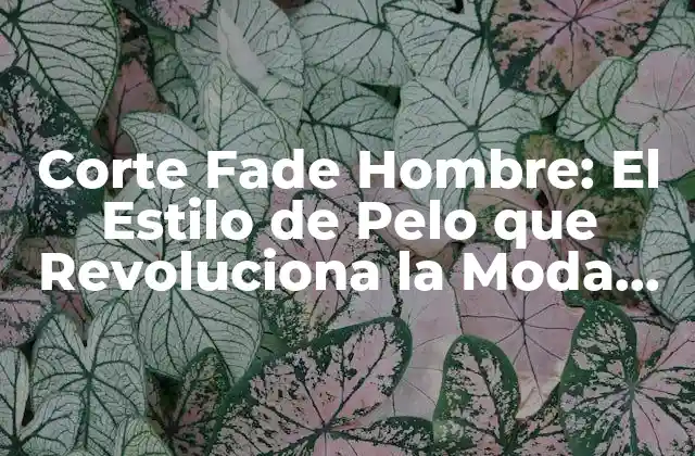 Corte Fade Hombre: el Estilo de Pelo que Revoluciona la Moda Actual