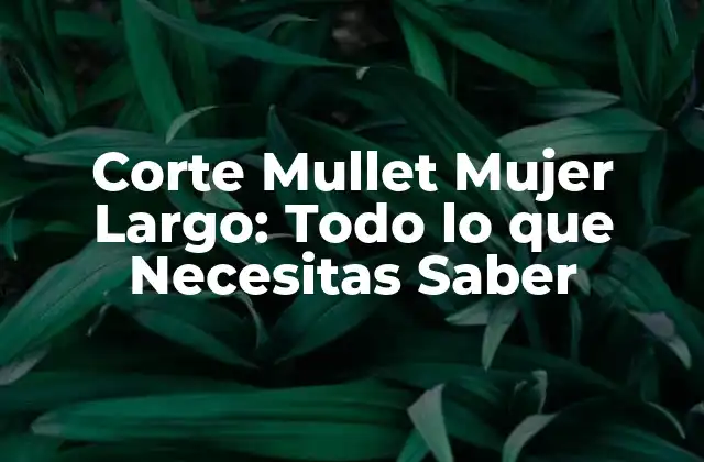Corte Mullet Mujer Largo: Todo Lo que Necesitas Saber