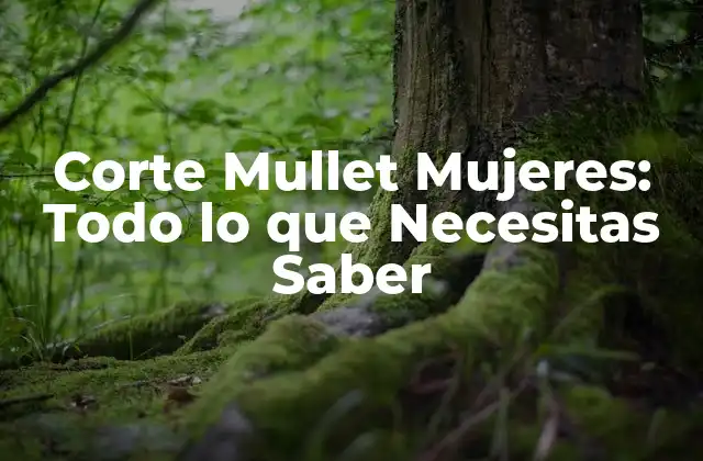 Corte Mullet Mujeres: Todo Lo que Necesitas Saber