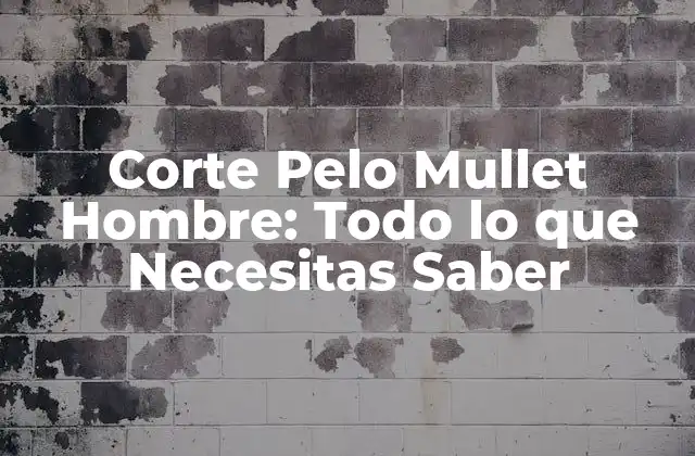 Corte Pelo Mullet Hombre: Todo Lo que Necesitas Saber
