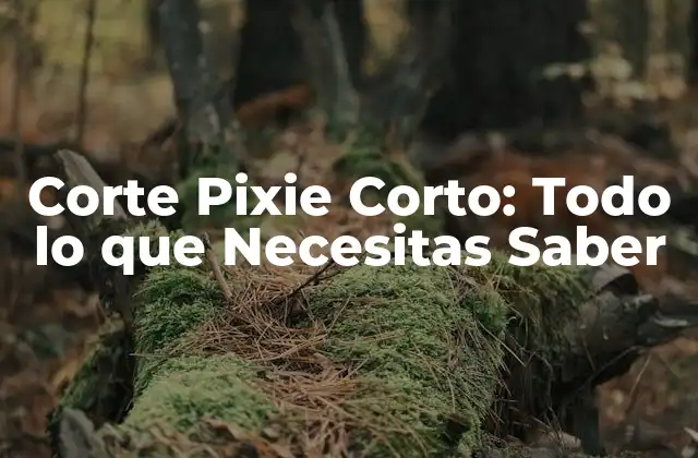 Corte Pixie Corto: Todo Lo que Necesitas Saber