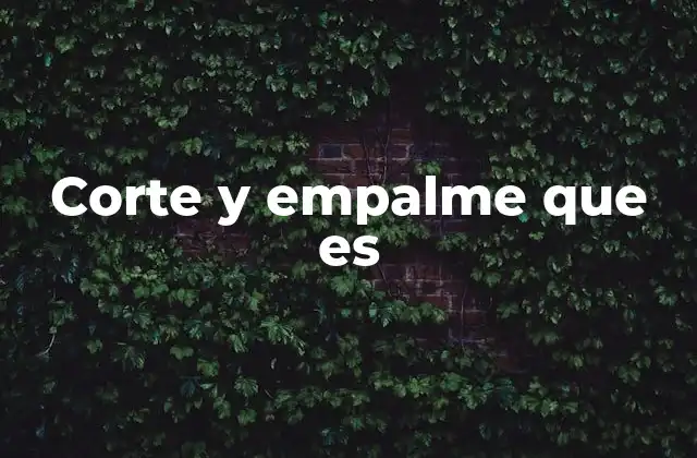 Corte y Empalme que es