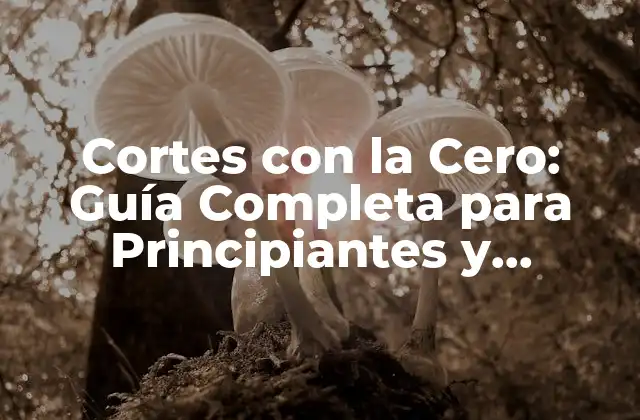 Cortes con la Cero: Guía Completa para Principiantes y Profesionales
