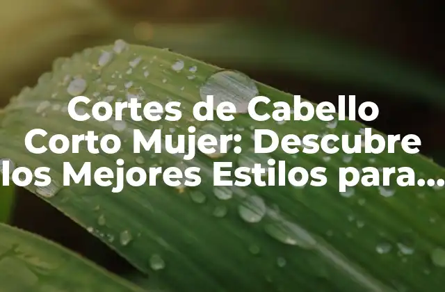 Cortes de Cabello Corto Mujer: Descubre los Mejores Estilos para Tu Rostro