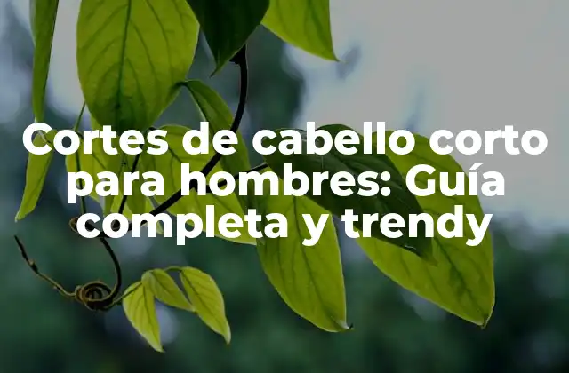 Cortes de Cabello Corto para Hombres: Guía Completa y Trendy