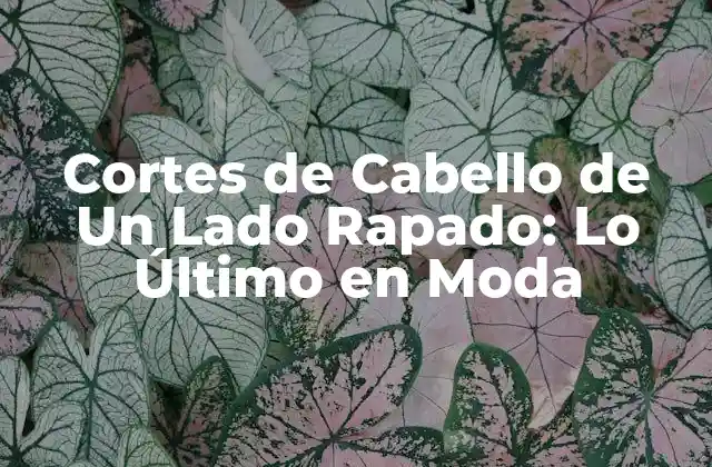 Cortes de Cabello de un Lado Rapado: Lo Último en Moda