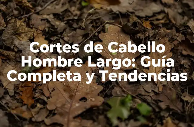 Ventajas de los Cortes de Cabello Hombre Largo