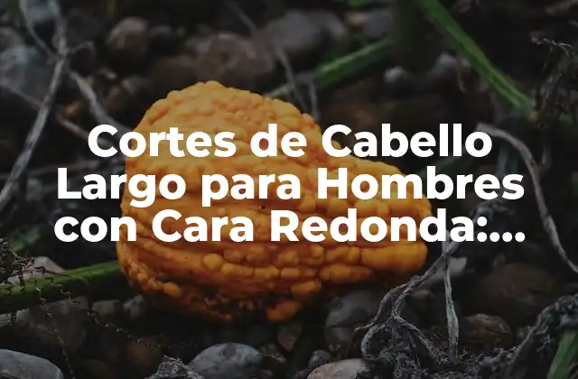 Cortes de Cabello Largo para Hombres con Cara Redonda: Guía Completa