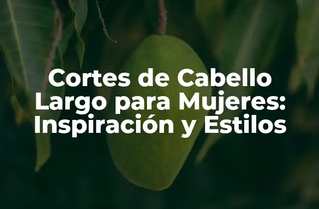 Cortes de Cabello Largo para Mujeres: Inspiración y Estilos