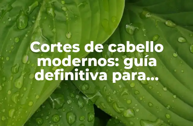 Cortes de Cabello Modernos: Guía Definitiva para Encontrar el Estilo Perfecto
