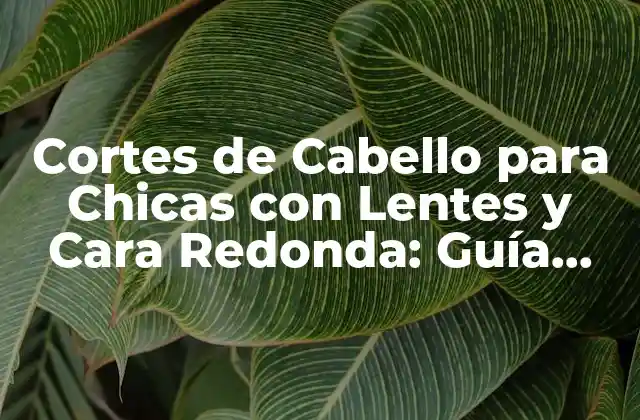 Cortes de Cabello para Chicas con Lentes y Cara Redonda: Guía Completa