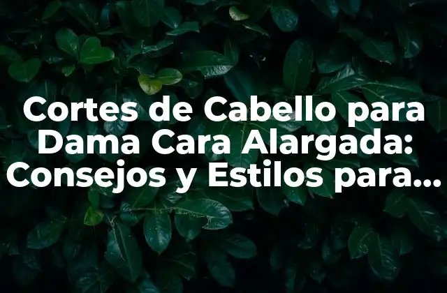 Características de una Cara Alargada