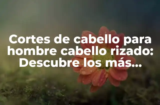 Cortes de Cabello para Hombre Cabello Rizado: Descubre los Más Populares y Trendy