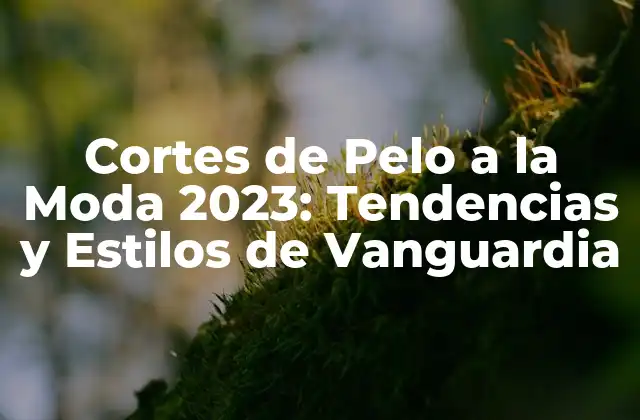 Cortes de Pelo a la Moda 2023: Tendencias y Estilos de Vanguardia