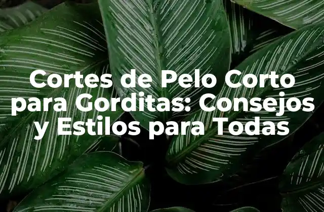 Cortes de Pelo Corto para Gorditas: Consejos y Estilos para Todas