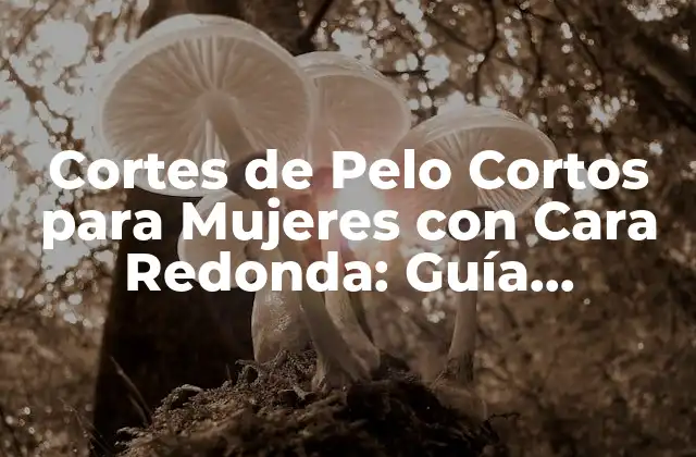 Cortes de Pelo Cortos para Mujeres con Cara Redonda: Guía Definitiva
